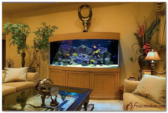 как расположить аквариум в большой помещении