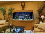 Как выбрать аквариум по фэн-шуй для дома и офиса